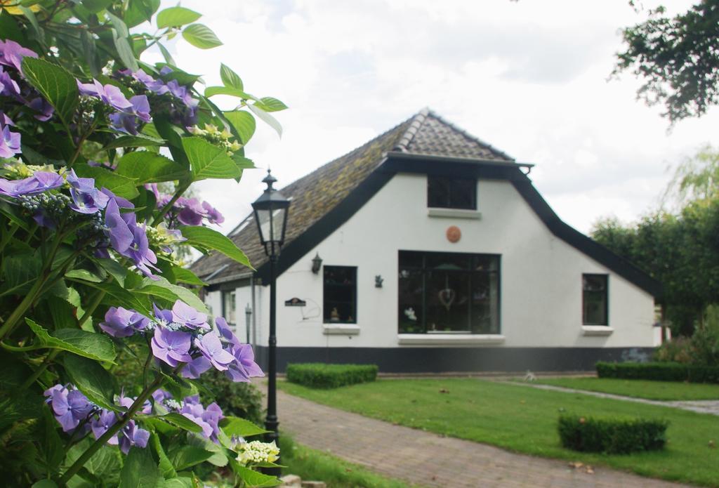 Bed&Breakfast 'T Eikeltje Hollandscheveld Εξωτερικό φωτογραφία