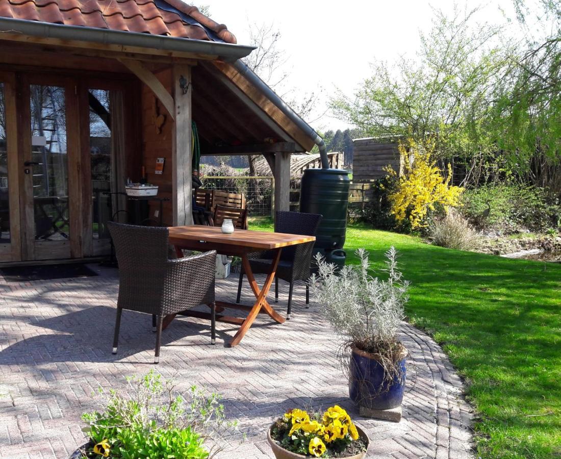 Bed&Breakfast 'T Eikeltje Hollandscheveld Εξωτερικό φωτογραφία